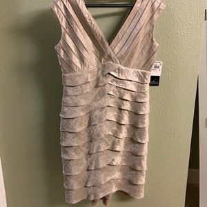 Adrianna Papell knee length cocktail dress.